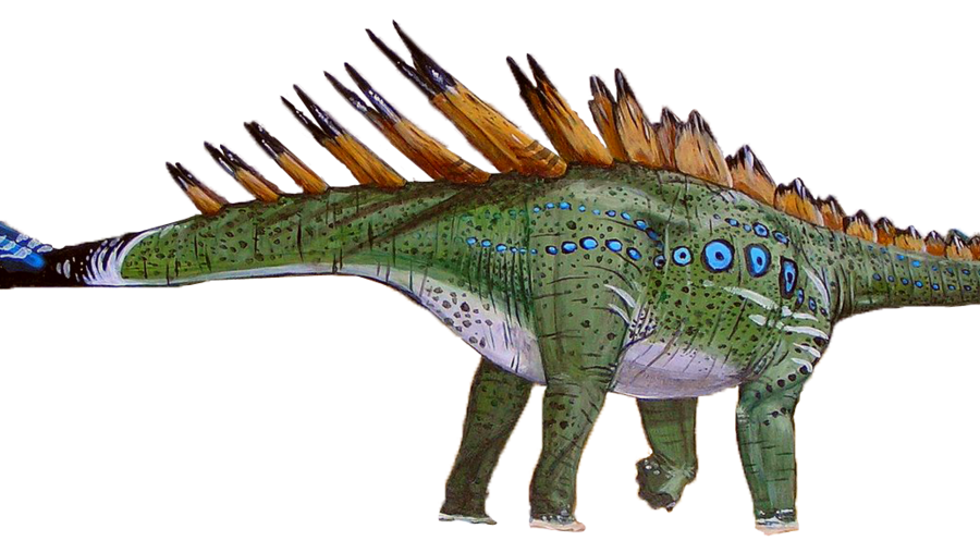 Gigante do Jurássico ficou 56 anos fechado