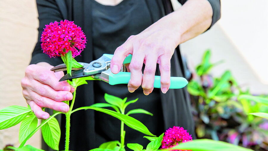 Artrose é uma doença degenerativa que só se manifesta a partir dos 50 anos. Saiba quais são os fatores de risco